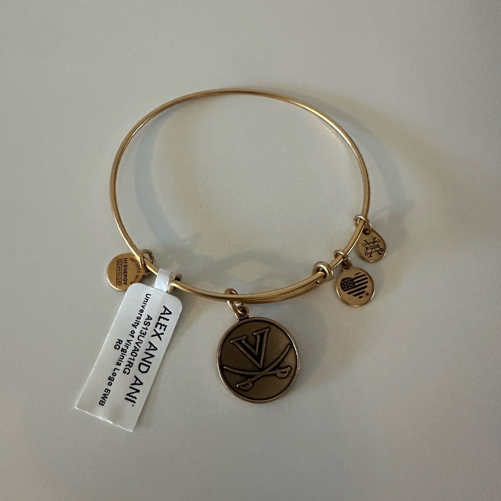 Alex and Ani Gold Charm Bangle